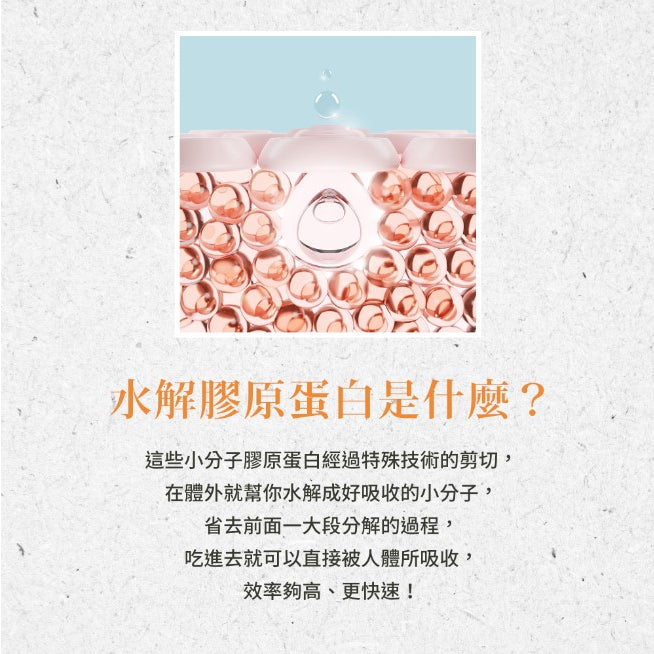 【聖伯納德Sanct Bernhard】水解膠原蛋白粉 525g/瓶 授權經銷 原廠公司貨 德國百年草本