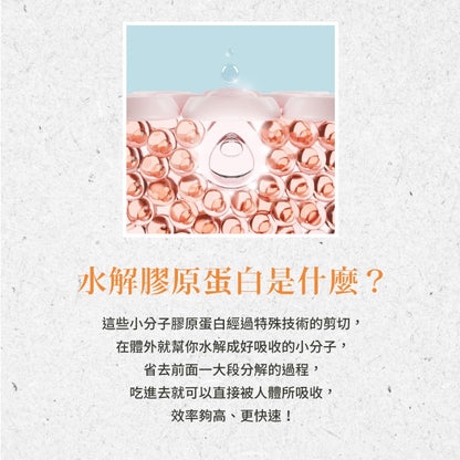 【聖伯納德Sanct Bernhard】水解膠原蛋白粉 525g/瓶 授權經銷 原廠公司貨 德國百年草本