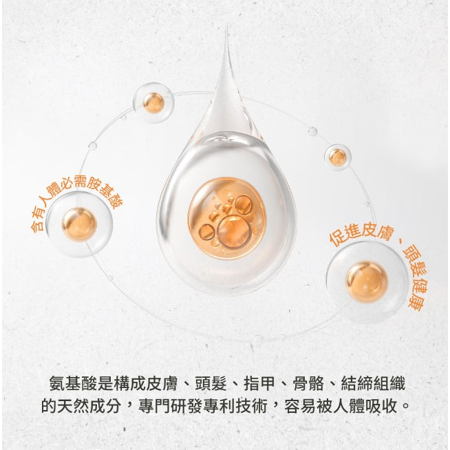 【聖伯納德Sanct Bernhard】水解膠原蛋白粉 525g/瓶 授權經銷 原廠公司貨 德國百年草本