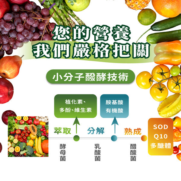 【大漢酵素】 V52 Plus蔬果發酵液 10入/盒 低鉀低鈉 快速補給 多元營養 提升保護力 52種蔬果