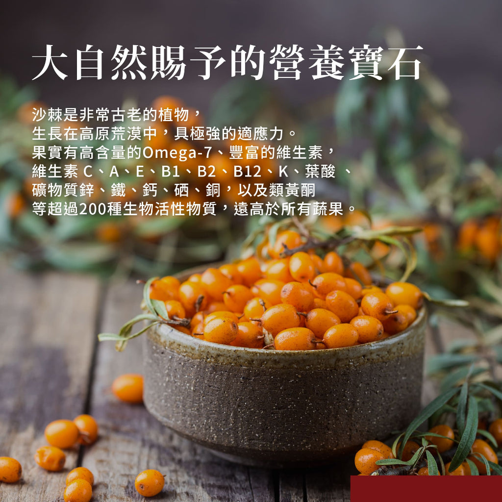【Sanct Bernhard聖伯納德】Omega-7沙棘油膠囊 100顆/罐 授權經銷 原廠公司貨