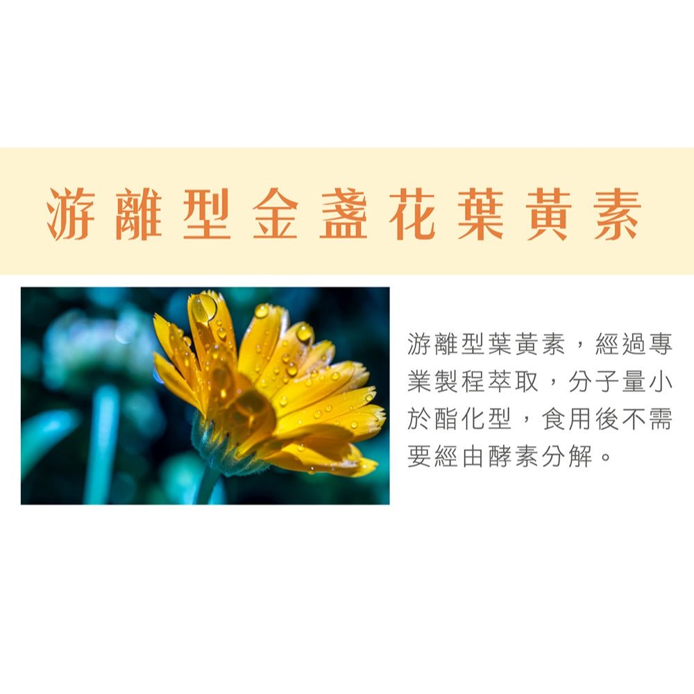 【荃贏全美】抒視圈金盞花葉黃素膠囊 30粒/盒 荃贏全美葉黃素 舒適圈 歐洲山桑子 枸杞萃取 玻尿酸