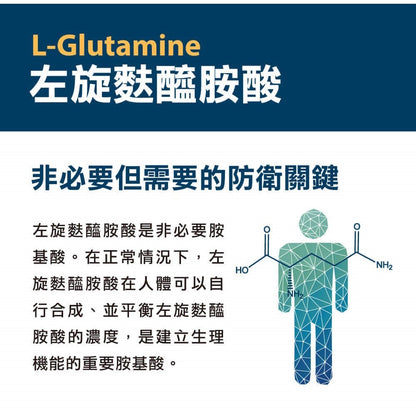 【PaPaOligo糖老爹】益生元衛-U 40顆/盒 左旋麩醯胺酸 維生素U 幫助消化 調節生活機能