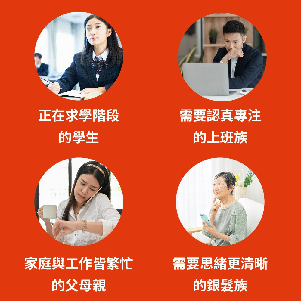 【PaPaOligo糖老爹】益專注膠囊 30顆/盒 強化注意力集中 鼠尾草萃取物 小孢子靈芝球蛋白 凝精聚神
