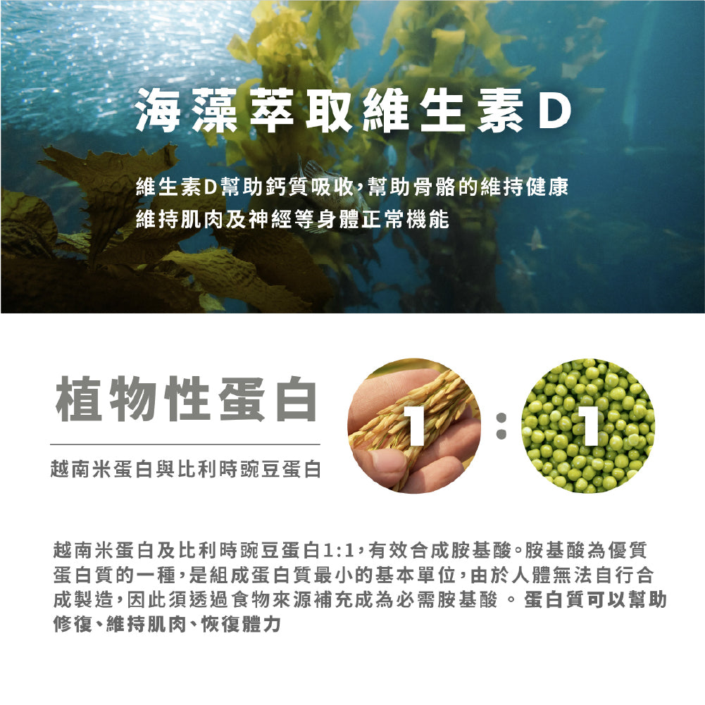 【藥師健生活】天然鎂鈣力全素膠囊 90顆/盒 全素可食 素食保健品 天然鈣鎂 海藻鈣 海洋鎂 純素