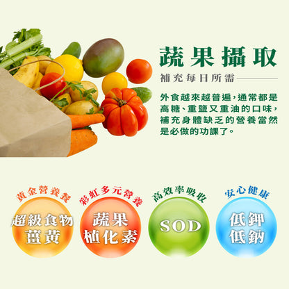 【大漢酵素】 V52 Plus蔬果發酵液 10入/盒 低鉀低鈉 快速補給 多元營養 提升保護力 52種蔬果