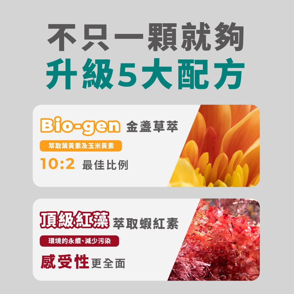 半年未進【健生活】攔洸葉黃素 45顆/盒 全素可食 游離型葉黃素 添加玻尿酸晶亮配方 山桑子萃取前花青素