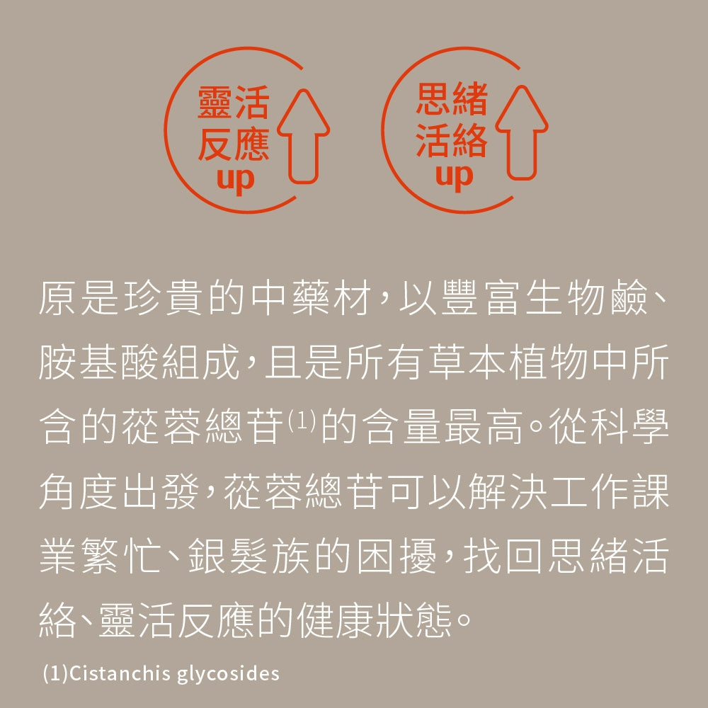 【PaPaOligo糖老爹】益專注膠囊 30顆/盒 強化注意力集中 鼠尾草萃取物 小孢子靈芝球蛋白 凝精聚神