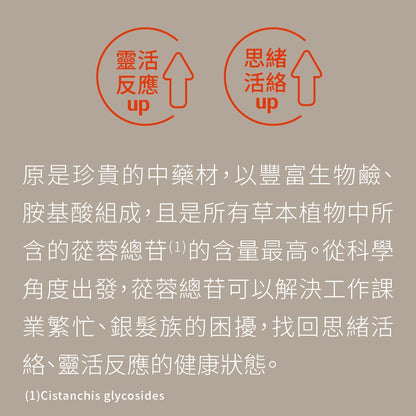 【PaPaOligo糖老爹】益專注膠囊 30顆/盒 強化注意力集中 鼠尾草萃取物 小孢子靈芝球蛋白 凝精聚神