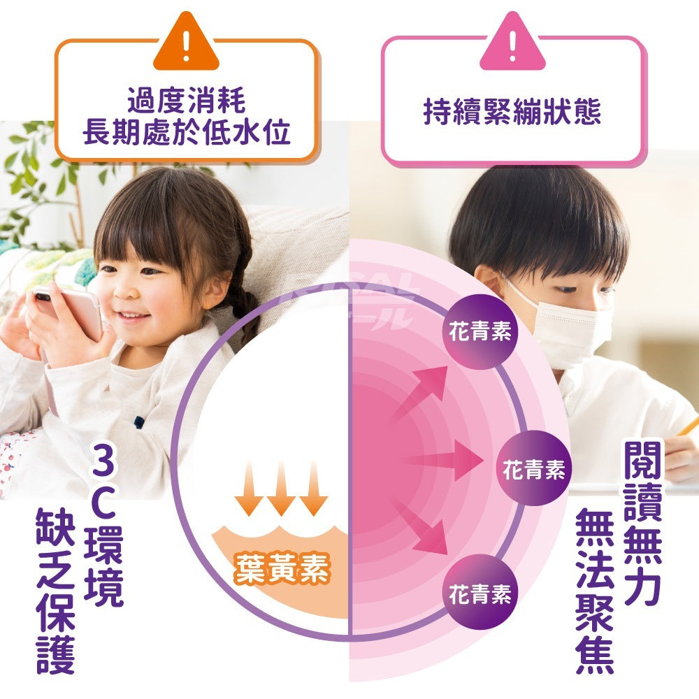 【小兒利撒爾】葉黃素乖寶寶凍 10包/盒 黑醋栗花青素 葉黃素 玉米黃素 黃金比例5:1 晶亮舒適