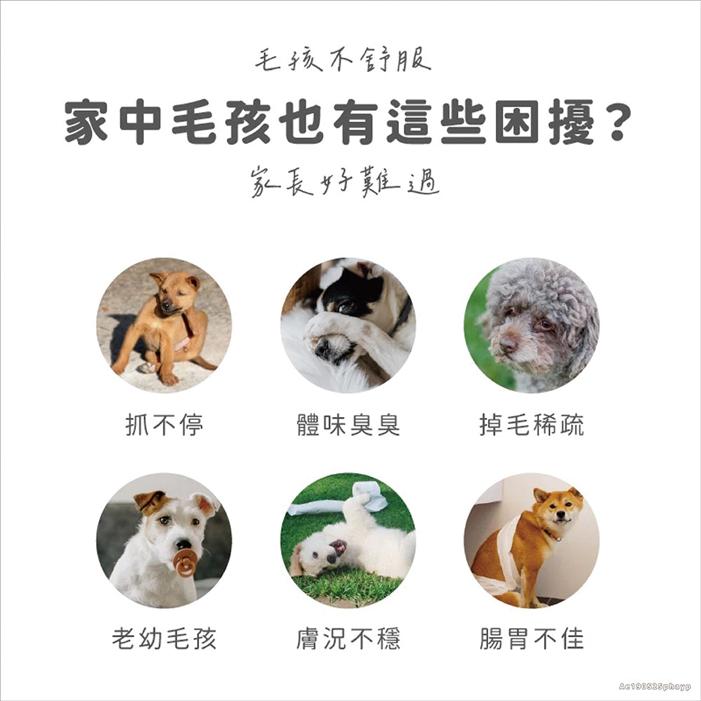 【依鈦Aether】寵物益生菌-養膚爆毛30包/盒 適口性佳 皮膚保健 促進食慾 消化順順 土雞肉粉 貓狗適用【壹品藥局