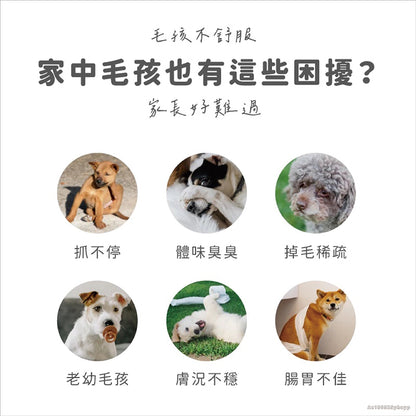 【依鈦Aether】寵物益生菌-養膚爆毛30包/盒 適口性佳 皮膚保健 促進食慾 消化順順 土雞肉粉 貓狗適用【壹品藥局