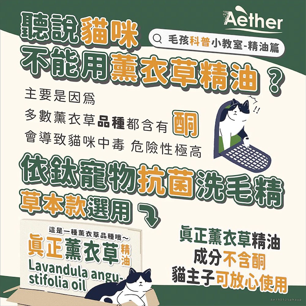 【依鈦Aether】寵物抗菌洗毛精 500ml 貓狗洗澡沐浴乳 舒緩膚況 分解油脂髒污 強效除臭 低敏溫和