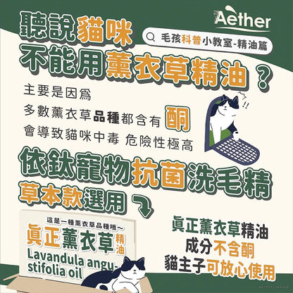 【依鈦Aether】寵物抗菌洗毛精 500ml 貓狗洗澡沐浴乳 舒緩膚況 分解油脂髒污 強效除臭 低敏溫和