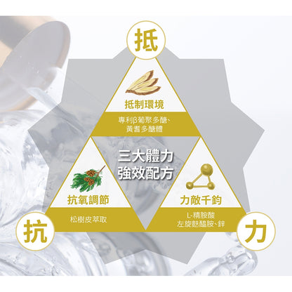 【好葉】葡聚多醣 複方膠囊 2包共4粒 調節生理機能 提升保護力 精胺酸 左旋麩醯胺酸 葡聚多糖
