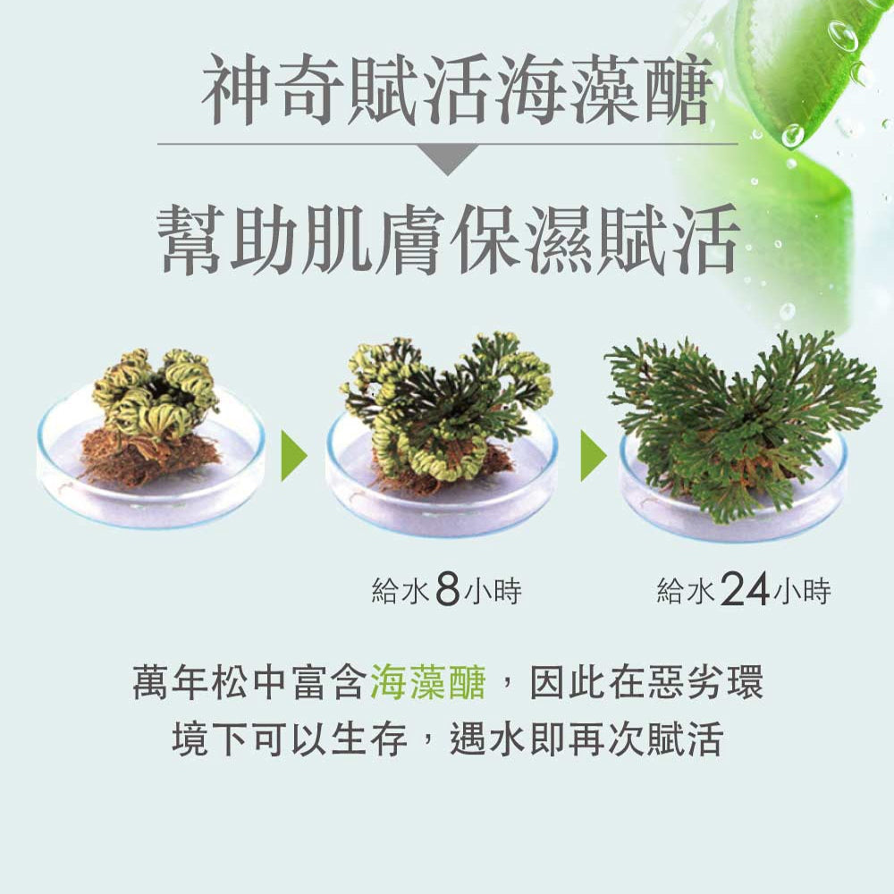 【豐傑生醫】水楊酸抗痘機能沐浴露 經典/女香500ml/瓶 美背 痘痘肌