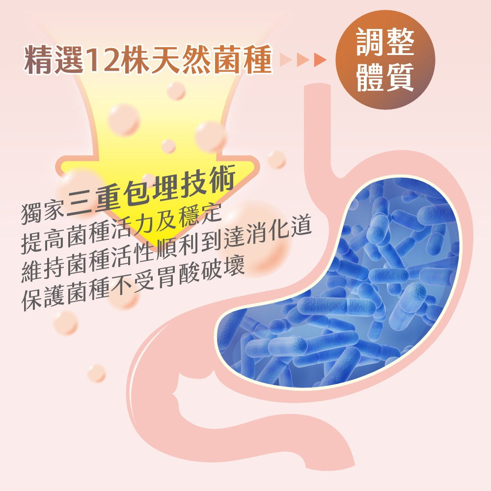 【樹飛雪】兒童益生菌 波力益生菌 調整體質 草莓 多多 風味