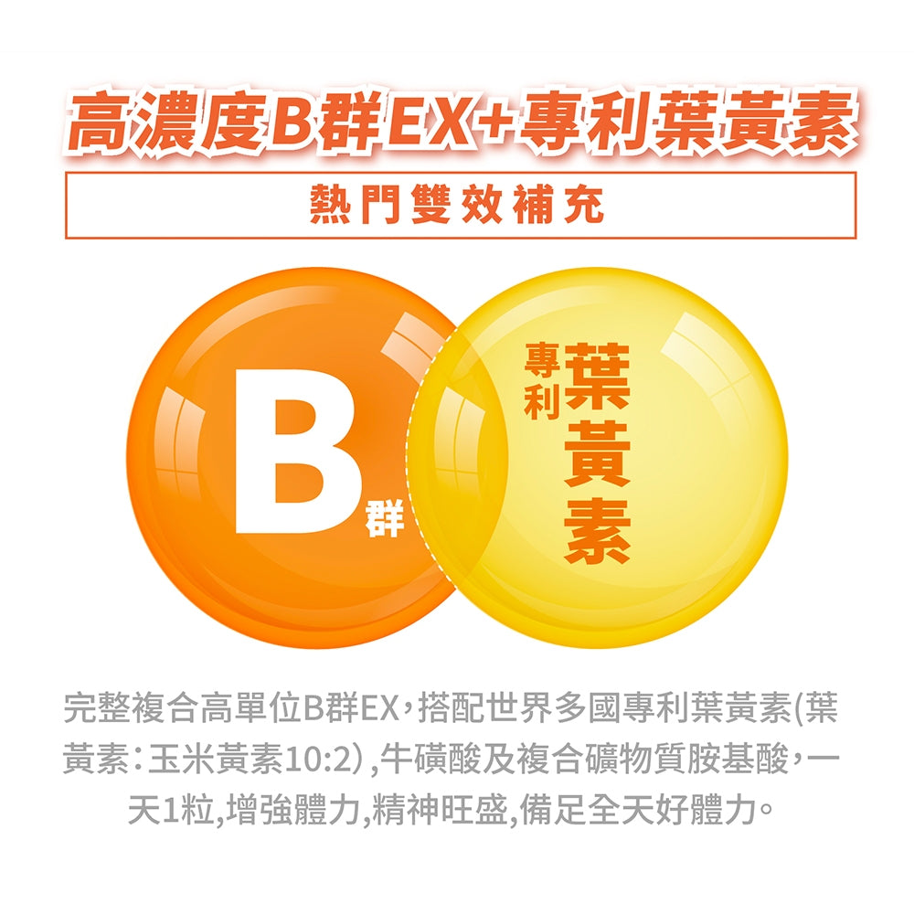 【好葉】維生素B群EX強效軟膠囊 葉黃素配方 60粒/盒 高單位B群 微量礦物質