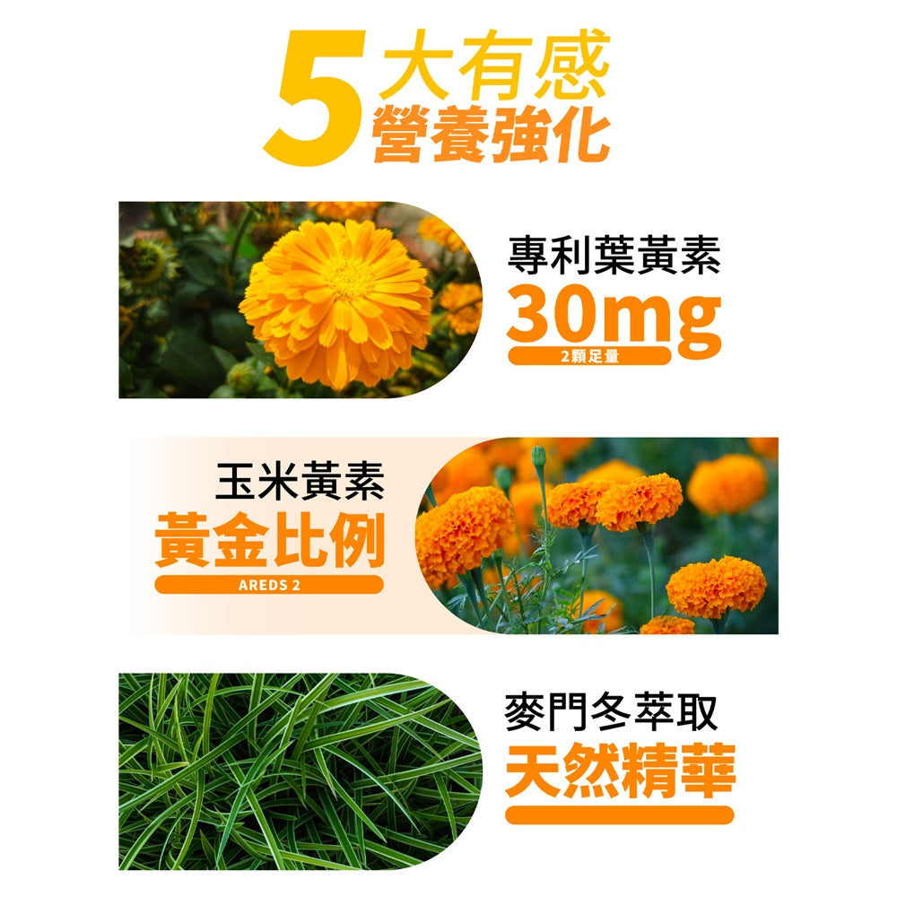 【好葉】金盞花葉黃素 全素複方膠囊(升級版) 60粒/盒 專利葉黃素 植物蝦紅素 山桑子萃取 調節生理機能