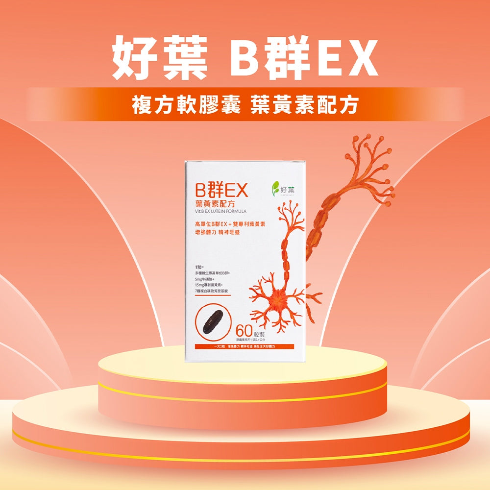 【好葉】維生素B群EX強效軟膠囊 葉黃素配方 60粒/盒 高單位B群 微量礦物質