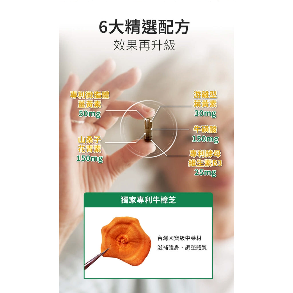 【健定師】康健明-樟芝葉黃素EX 30粒/盒 游離型葉黃素 明亮清晰