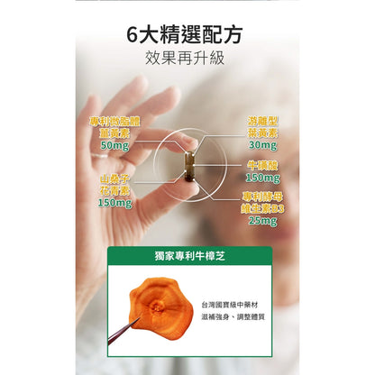 【健定師】康健明-樟芝葉黃素EX 30粒/盒 游離型葉黃素 明亮清晰