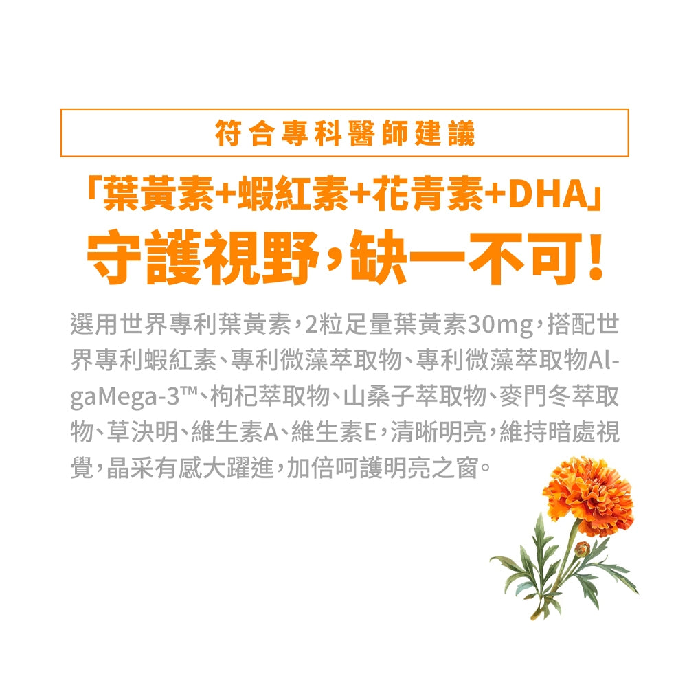 【好葉】金盞花葉黃素 全素複方膠囊(升級版) 60粒/盒 專利葉黃素 植物蝦紅素 山桑子萃取 調節生理機能