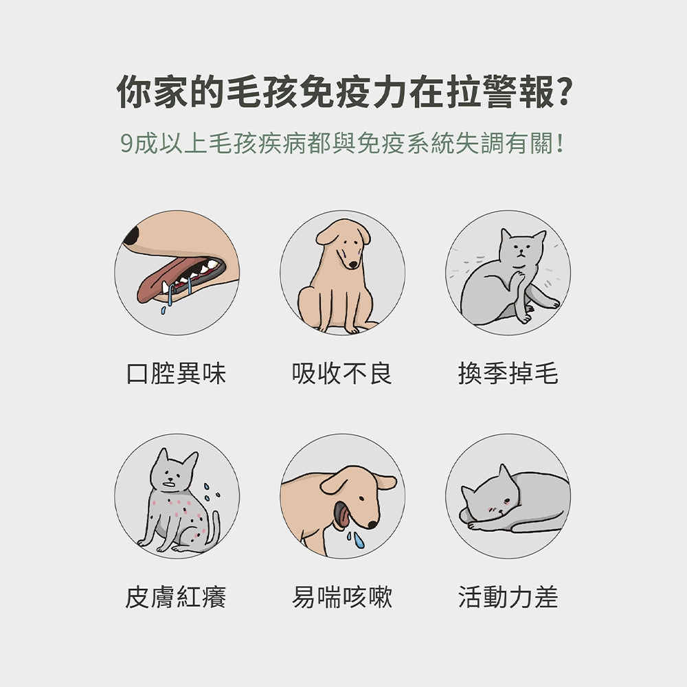 【汪咪博士】汪貝健 全齡狗綜合營養補充品 60顆/盒 美國專利成份 寵物綜合維他命+礦物質 狗呼吸道