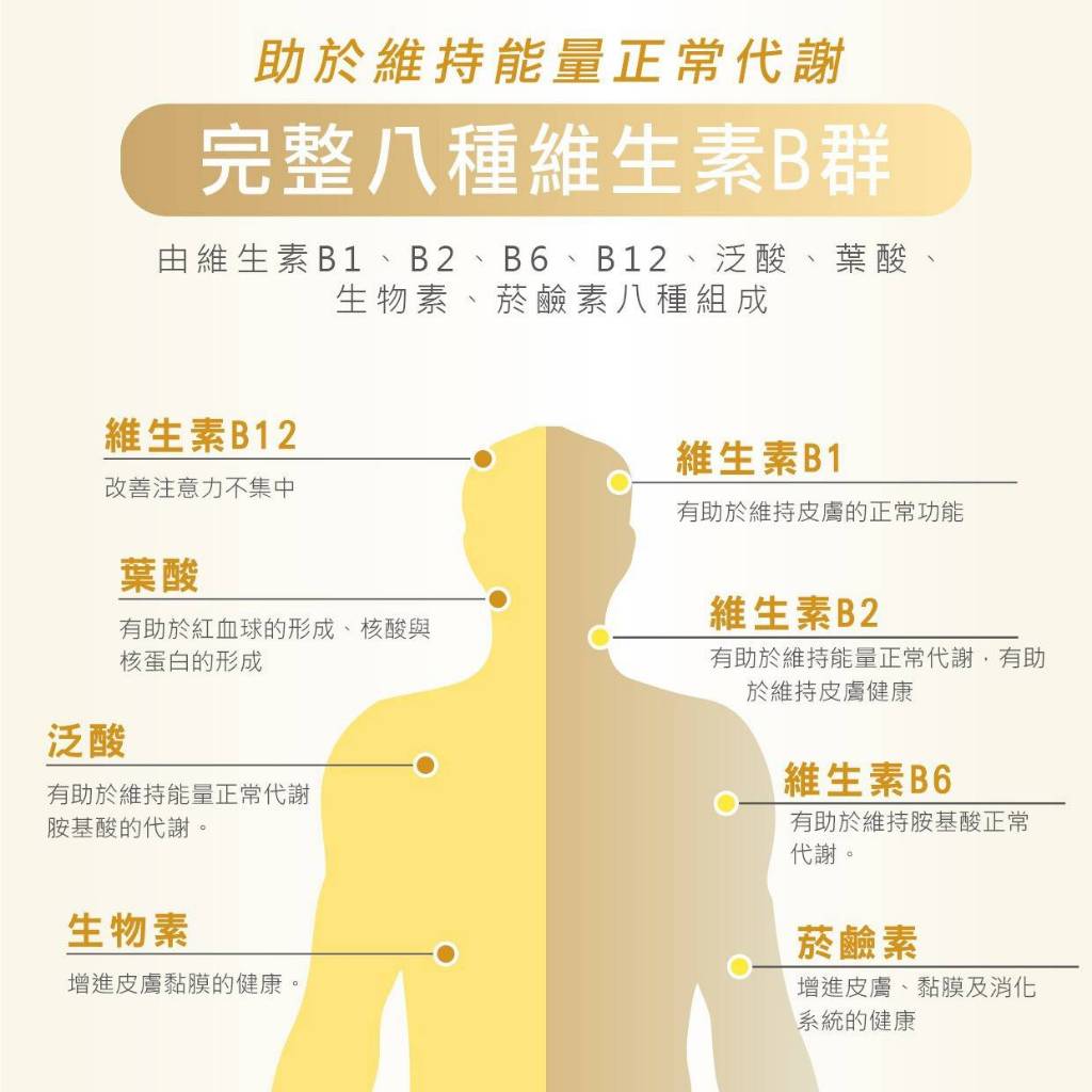 【MedBIO美百優】酵母B群+專利鋅膠囊 30粒/包 精神旺盛 補充體力