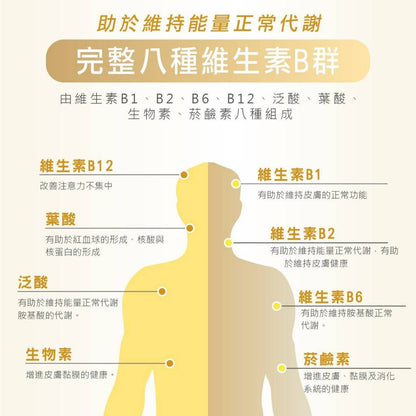 【MedBIO美百優】酵母B群+專利鋅膠囊 30粒/包 精神旺盛 補充體力