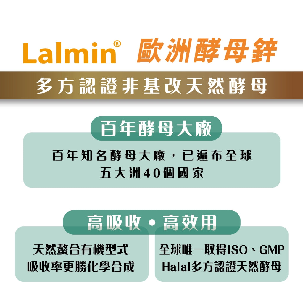 【MedBIO美百優】酵母B群+專利鋅膠囊 30粒/包 精神旺盛 補充體力