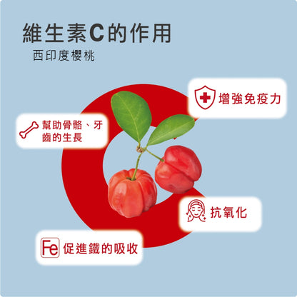 【MedBIO美百優】酵母B群+專利鋅膠囊 30粒/包 精神旺盛 補充體力