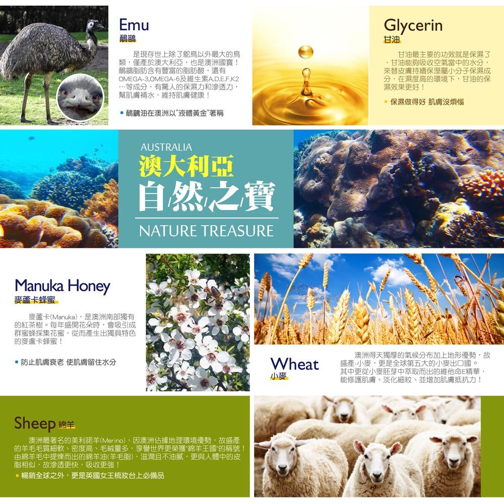 【澳洲G&M】綿羊油乳霜 鴯鶓保濕霜 家庭號 身體保濕乳液 維生素E 綿羊油