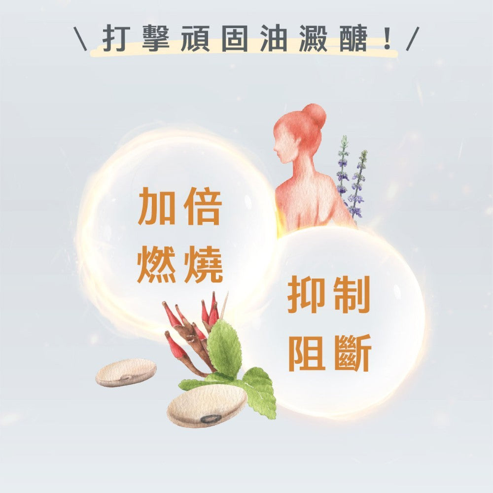 【Body Goals】打卡倍燃極纖素 30顆/瓶 體態管理 輕盈日常 膳食纖維 外食族 輕鬆代謝