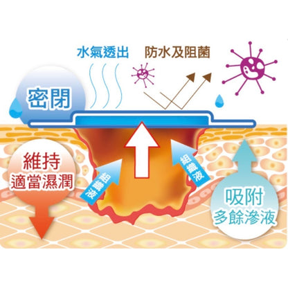 【喜能膚】水凝膠傷口敷料 2款任選 A+醫療級水膠 高吸收力 防水透氣 超薄蜂巢式設計 舒適服貼 敏感肌可用