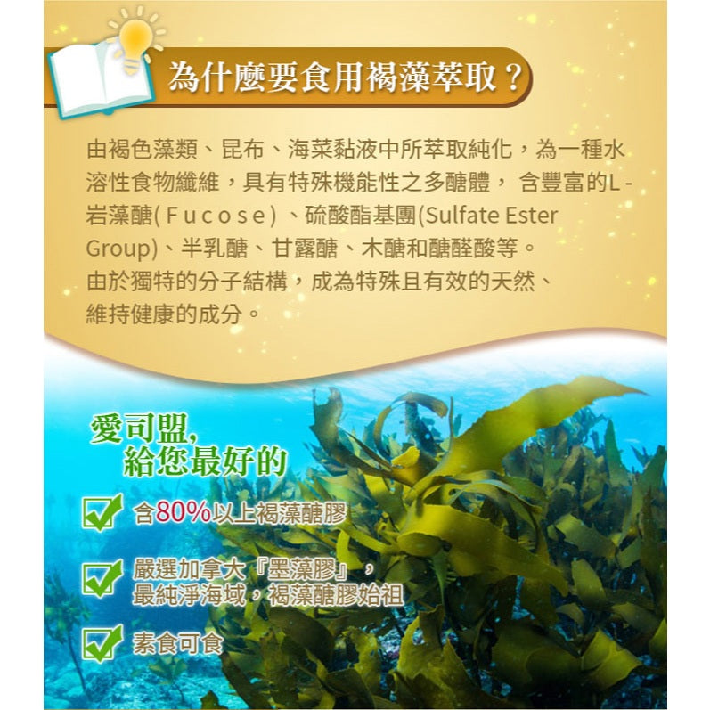 【愛司盟】褐藻萃取膠囊 90顆/瓶 80%高濃度褐藻醣膠 加拿大墨藻膠 調節生理機能 術後補給