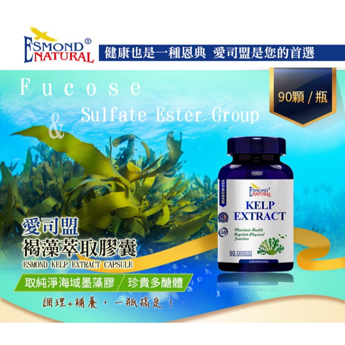 【愛司盟】褐藻萃取膠囊 90顆/瓶 80%高濃度褐藻醣膠 加拿大墨藻膠 調節生理機能 術後補給