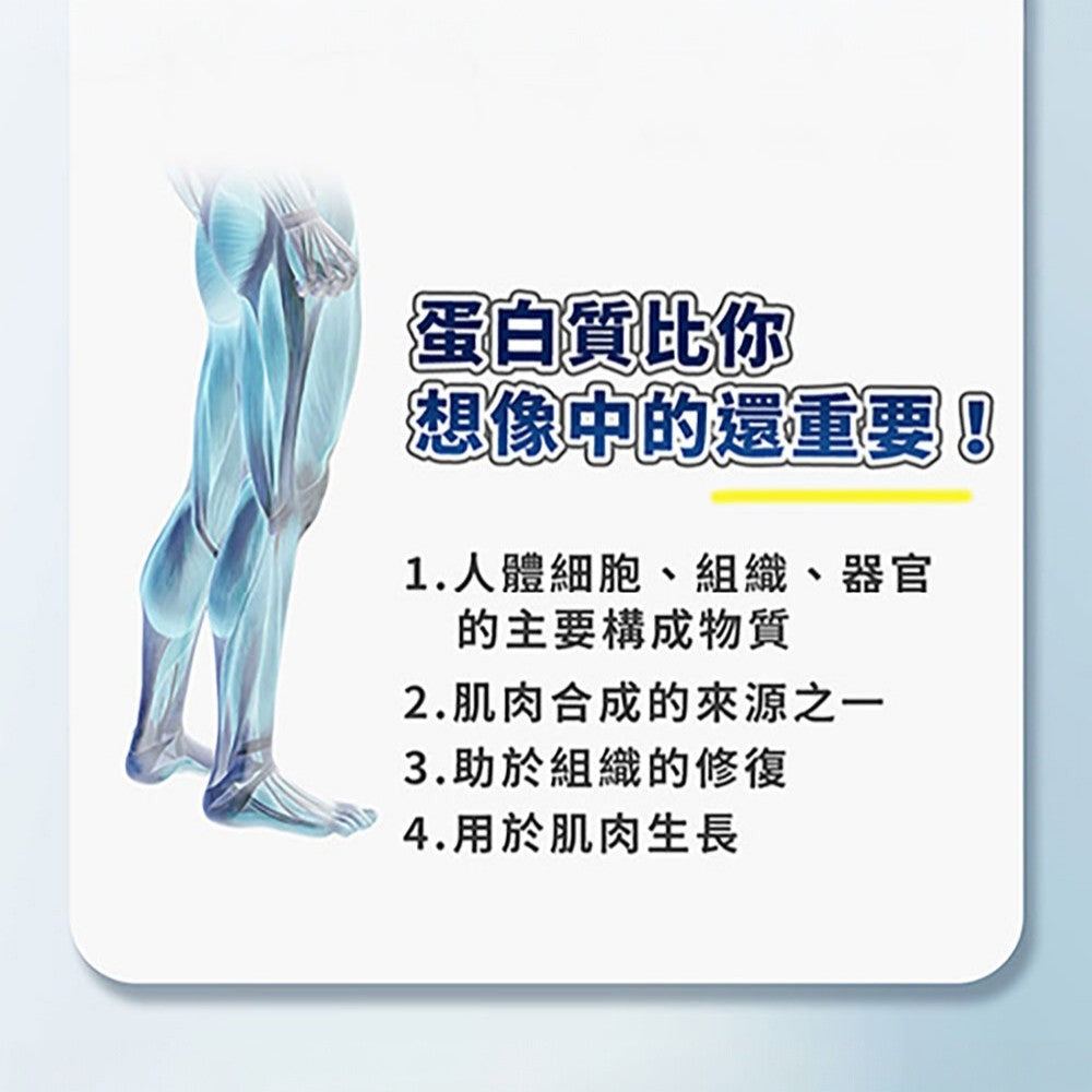 【健康式】完整蛋白飲 7瓶箱購 原味 巧克力 BCAA 蛋白質 營養補充 低糖低脂 銀髮族 關鍵行動力