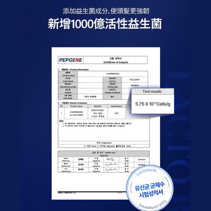 【SMIB】1000億乳酸菌染色洗髮精 200ml/盒 柔霧黑 自然棕 專利乳酸菌胜肽 溫和遮白 滋養頭皮