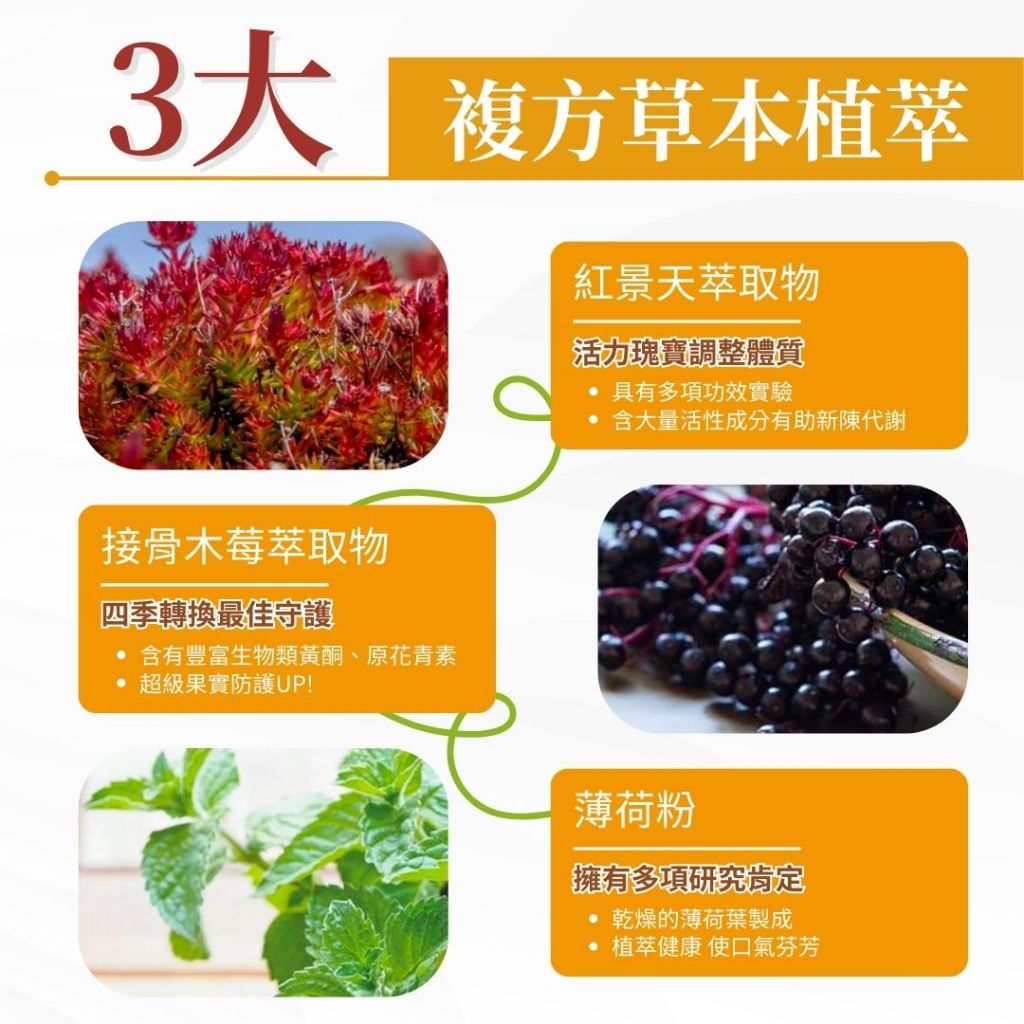 【亞馬生醫】淨排舒潤飲 15包/盒 M1後生元 蔬果醱酵液 接骨木莓 紅景天 補充元氣 調整體質