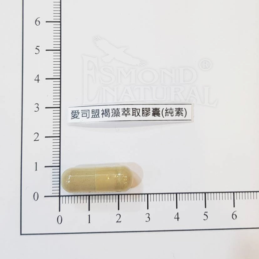 【愛司盟】褐藻萃取膠囊 90顆/瓶 80%高濃度褐藻醣膠 加拿大墨藻膠 調節生理機能 術後補給