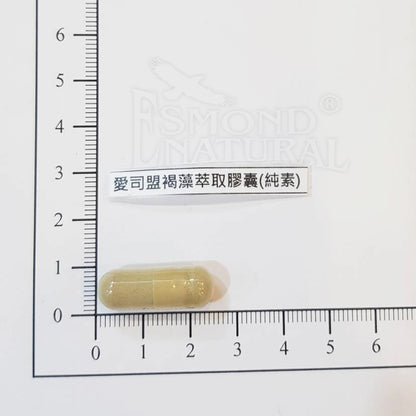 【愛司盟】褐藻萃取膠囊 90顆/瓶 80%高濃度褐藻醣膠 加拿大墨藻膠 調節生理機能 術後補給