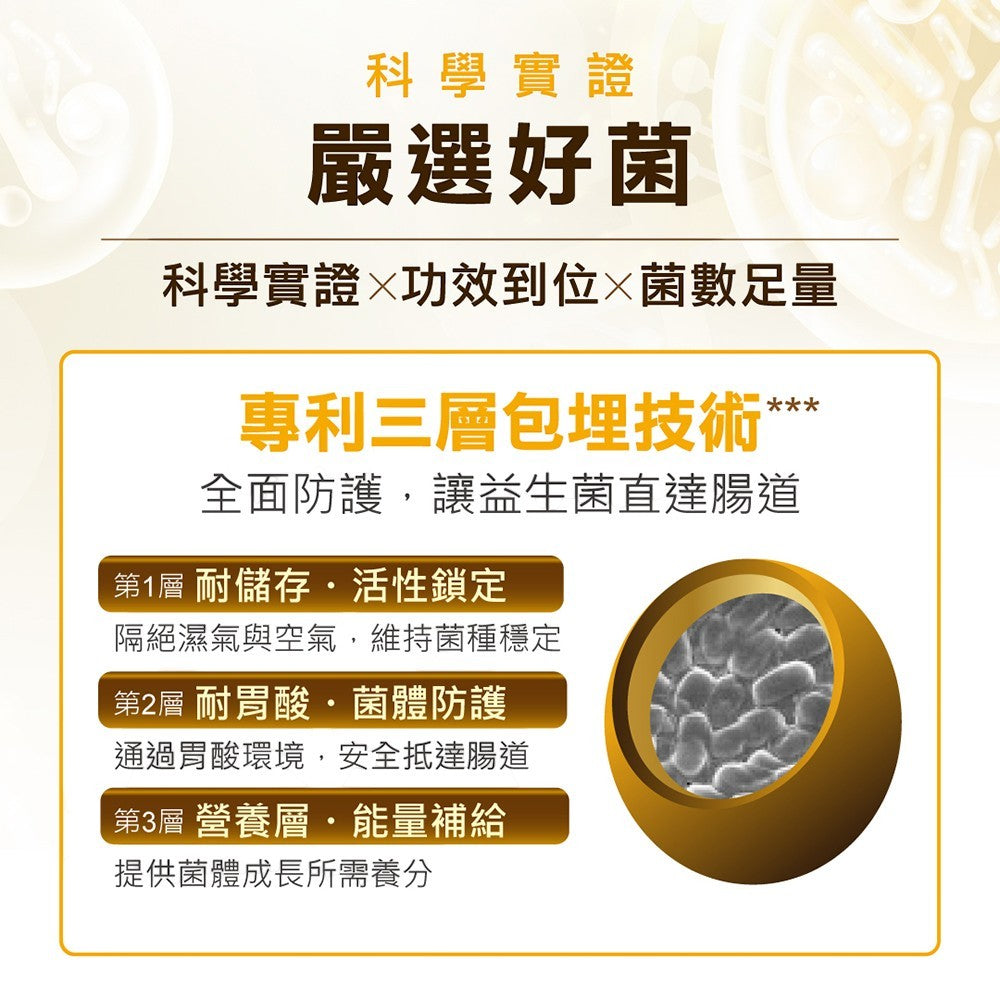 【HiQ中華海洋生技】褐益菌暢健雙重配方 30包/盒 褐藻醣膠 專利菌株 病後補給 HiQ益生菌
