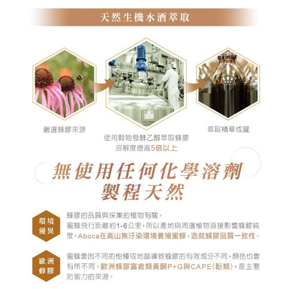 【維奇】CAPE雙蜂膠噴劑 30ml/瓶 義大利原裝進口 蜂膠噴霧 季節交替 溫潤爽喉