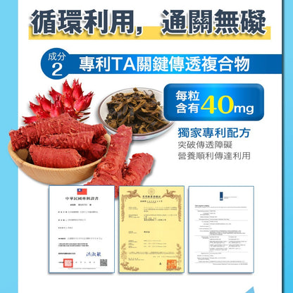 【日本味王】行動對策PLUS全效錠 30粒/盒 UC-II 葡萄糖胺 MSM 玻尿酸 銀髮族保養 運動族