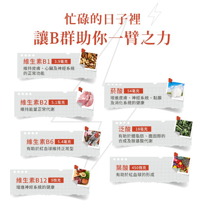 【聖伯納德Sanct Bernhard】綜合維他命B群 150顆/瓶 授權經銷 原廠公司貨 德國百年草本