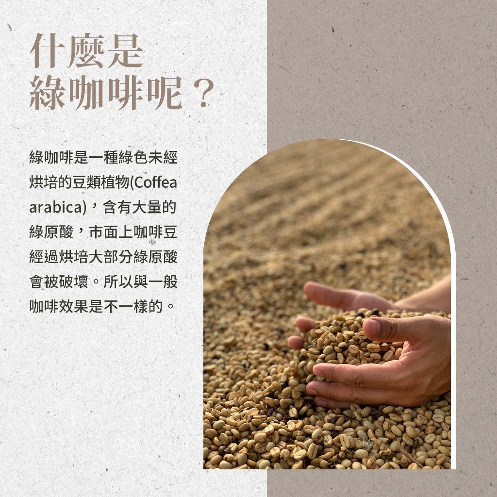 【Sanct Bernhard聖伯納德】綠咖啡膠囊 120顆/瓶 調整體質 授權經銷原廠公司貨 德國百年草本