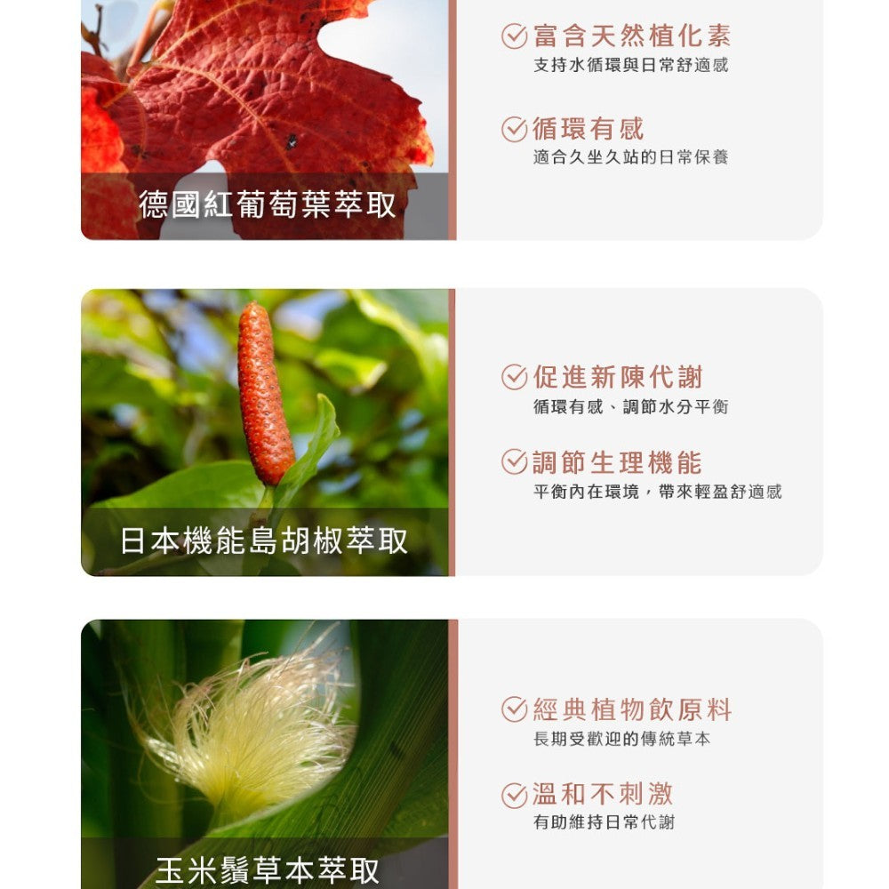 【Ruijia露奇亞】紅豆纖水沖泡飲 15包/盒 紅豆水 促進新陳代謝 養顏美容 無咖啡因 即沖即飲