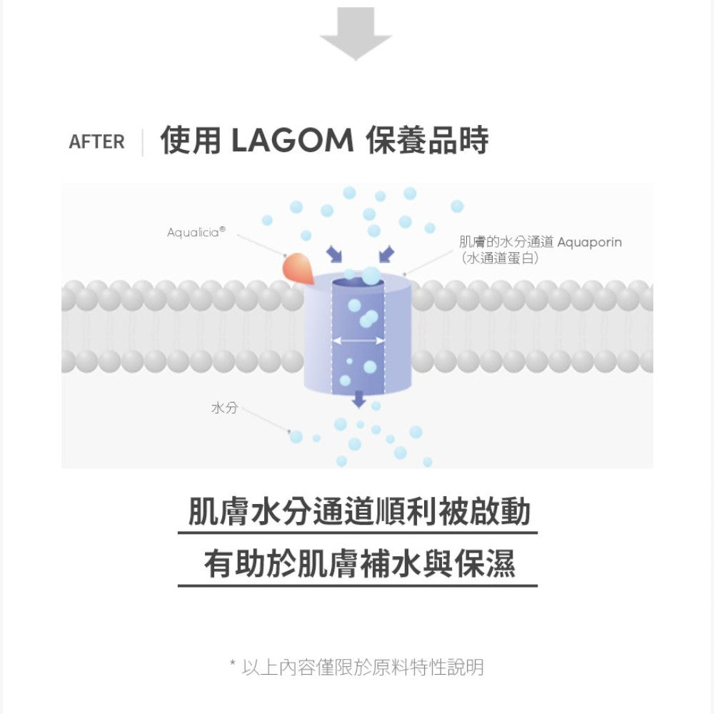 【LAGOM】PH新平衡修護潔顏乳 120mL/瓶 綿密泡沫 溫和潔淨 獨家保濕配方 水潤不緊繃 敏感肌適用