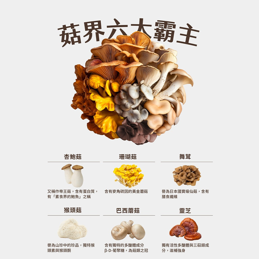 【GA黃金甲】萃菇精 10瓶/盒 全素食 熟齡保健 思緒敏捷 滋補強身 送禮禮盒 長輩送禮 包裝精美